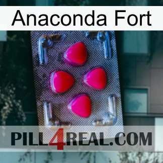 Anaconda Strong 13